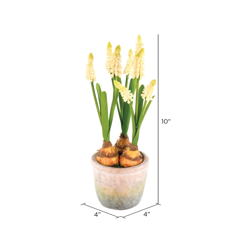 Vickerman 10" Artificial Yellow Hyacinths in Container Pack of 2