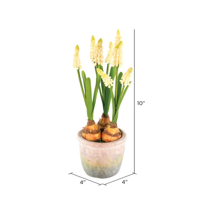 Vickerman 10" Artificial Yellow Hyacinths in Container Pack of 2