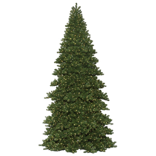 Vickerman 20' x 102" Oregon Fir Artificial Christmas Frame Tree Warm White Dura-lit LED Lights