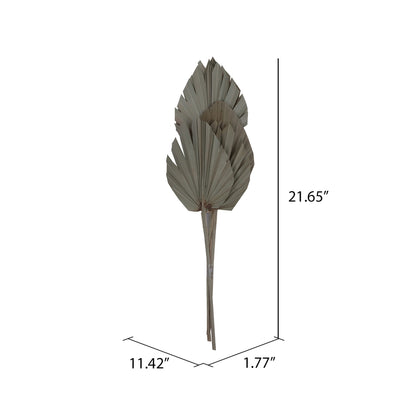 Vickerman Natural Botanicals 20" Natural King Palm Spear. Includes 10 Pieces per Bunch.