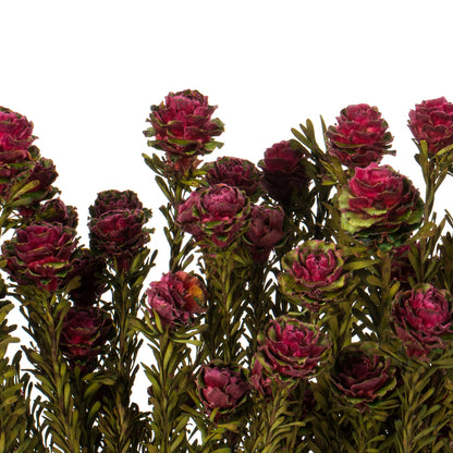 Vickerman 12" Merlot Tortum Bundle Female Preserved