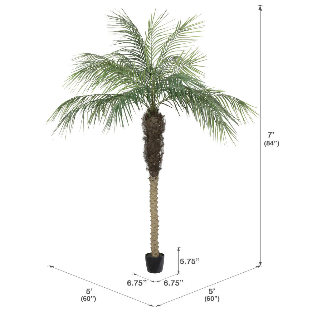 Vickerman 7' Artificial Potted Phoenix Palm Tree.