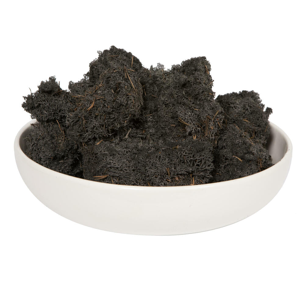 Vickerman Black Preserved Reindeer Moss 2 Lbs per Box