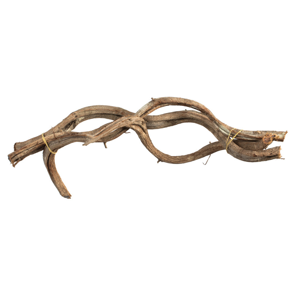 Vickerman 18-22" Natural Twisted Vine Bundle 3 pack