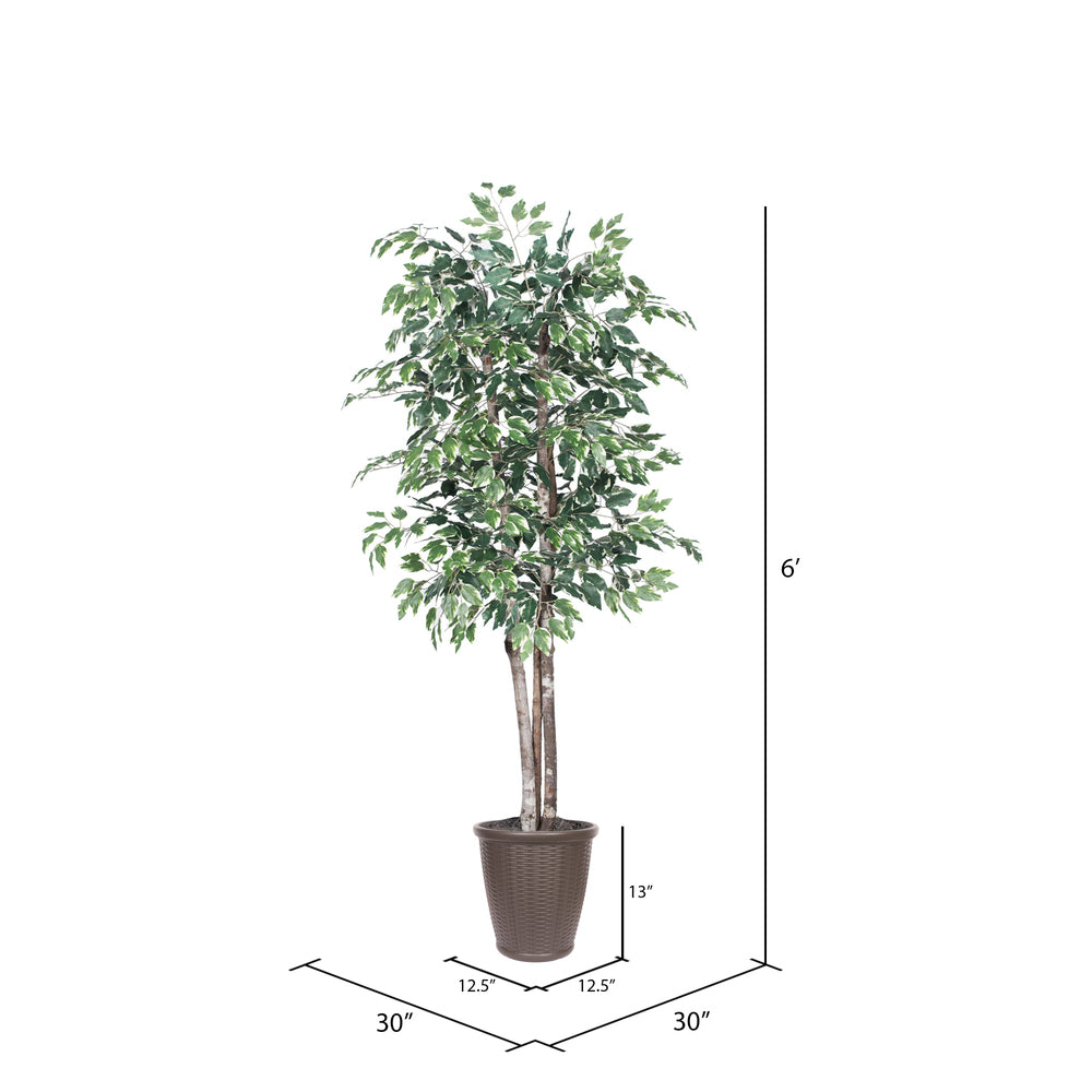 Vickerman 6' Artificial Variegated Ficus Deluxe Tree Brown Round Plastic Container.