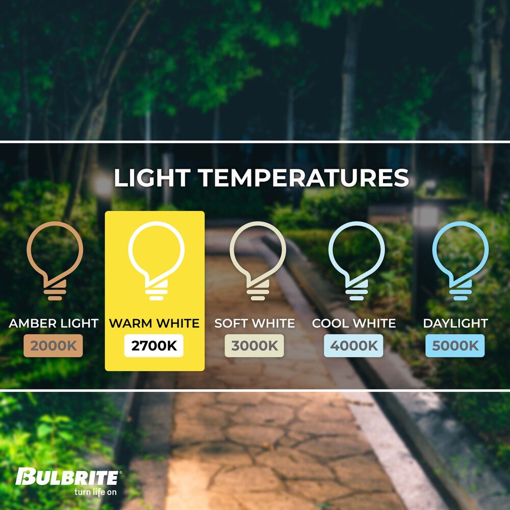 Bulbrite Pack of (8) 7 Watt Dimmable Clear ST18 LED Light Bulbs with Medium (E26) Base, 2700K Warm White Light, 800 Lumens