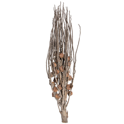 Vickerman Natural Botanicals 32" Coco Jhar Natural. Includes 10  pieces per Pack.