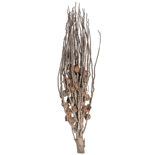 Vickerman Natural Botanicals 32" Coco Jhar Natural. Includes 10  pieces per Pack.
