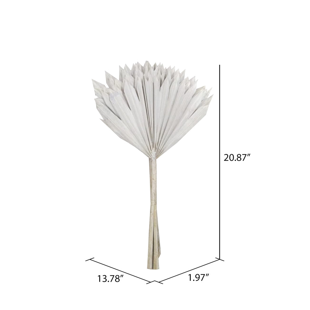 Vickerman Natural Botanicals 20" White Washed Palm Sun Stem. Includes 12 Pieces per Bunch.