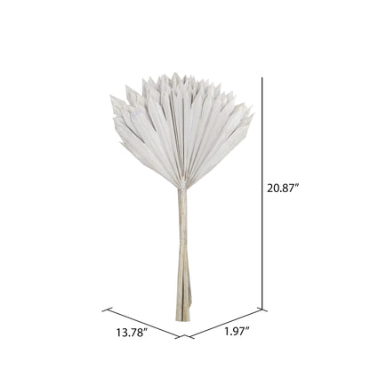 Vickerman Natural Botanicals 20" White Washed Palm Sun Stem. Includes 12 Pieces per Bunch.