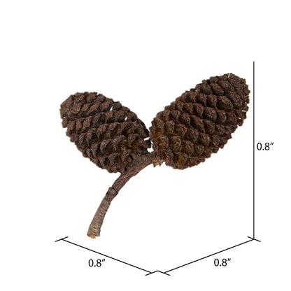 Vickerman Natural Botanicals 0.8" Birch Pine Natural. Includes 1 kilogram of product per unit.
