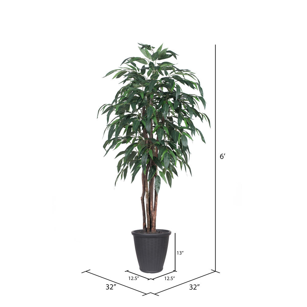 Vickerman 6' Artificial Mango Executive Tree Gray Round Plastic Container.