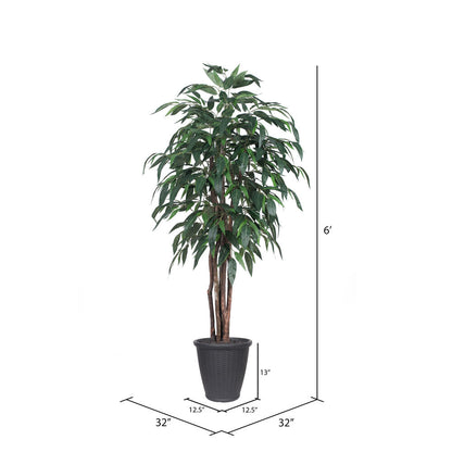 Vickerman 6' Artificial Mango Executive Tree Gray Round Plastic Container.