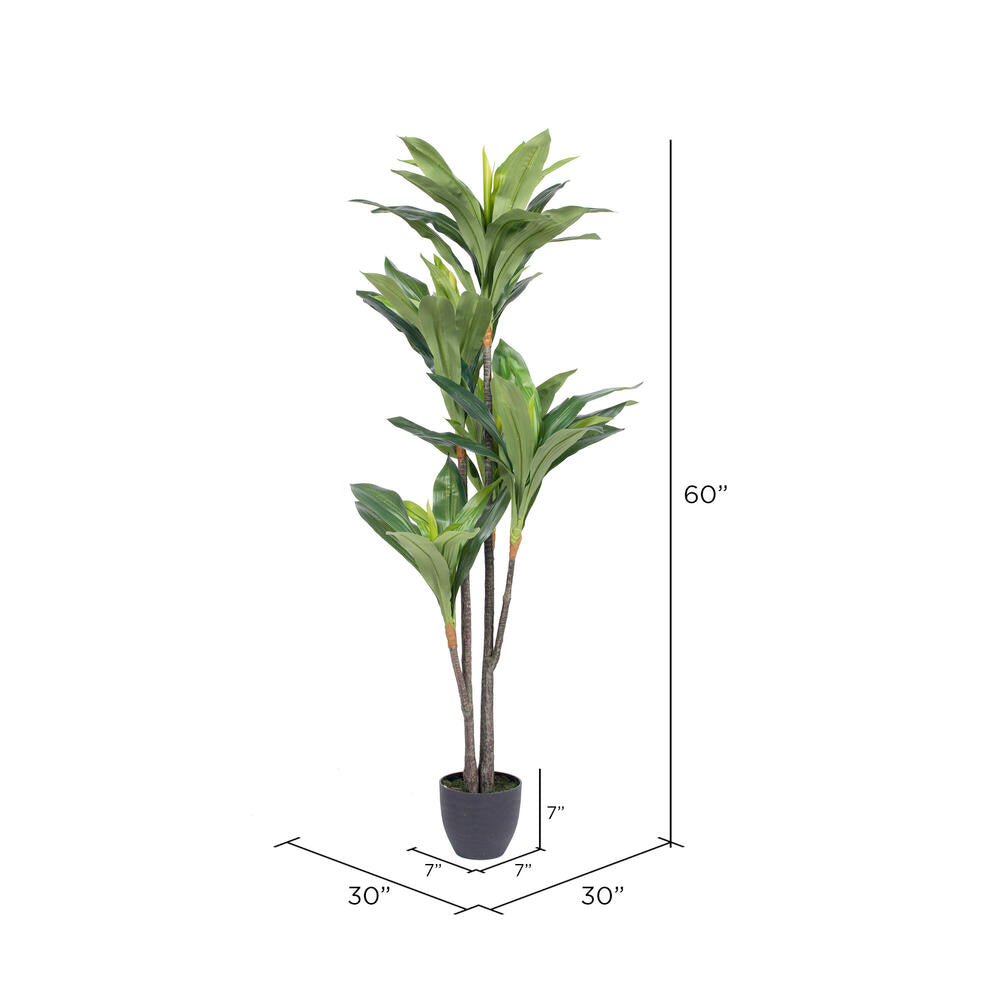 Vickerman 60" Artificial Real Touch Dracaena.