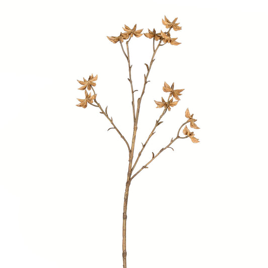 Vickerman 24" Artificial Beige Illicum Verum Spray. Includes 4 sprays per pack.