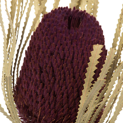 Vickerman 12" Jumbo Violet Banksia Flower with Stem. Includes 3 Stems per Pack. Dried