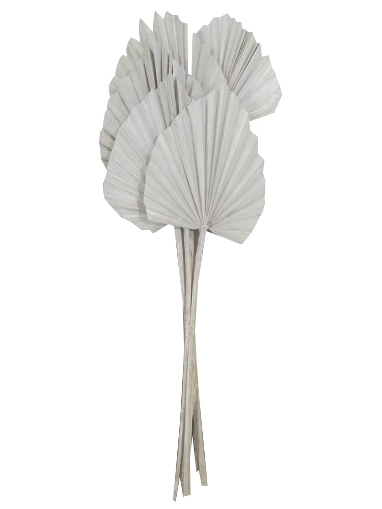 Vickerman Natural Botanicals 20" White Washed King Palm Spear. Includes 10 Pieces per Bunch.