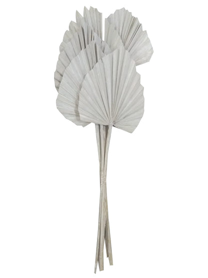Vickerman Natural Botanicals 20" White Washed King Palm Spear. Includes 10 Pieces per Bunch.