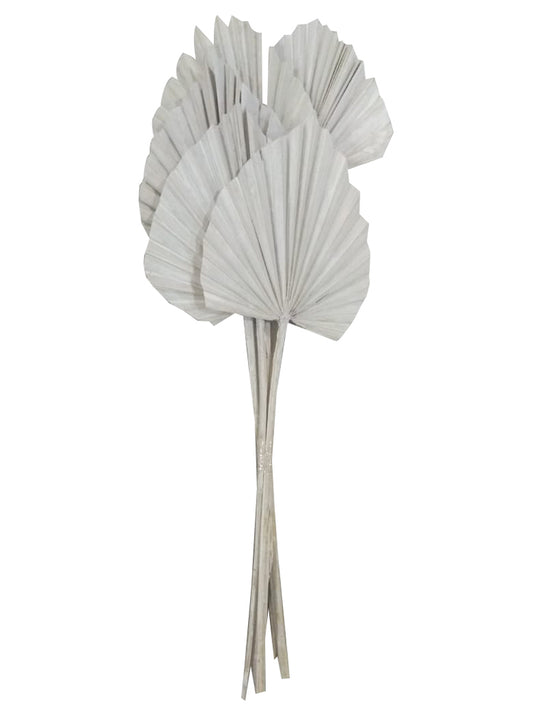 Vickerman Natural Botanicals 20" White Washed King Palm Spear. Includes 10 Pieces per Bunch.