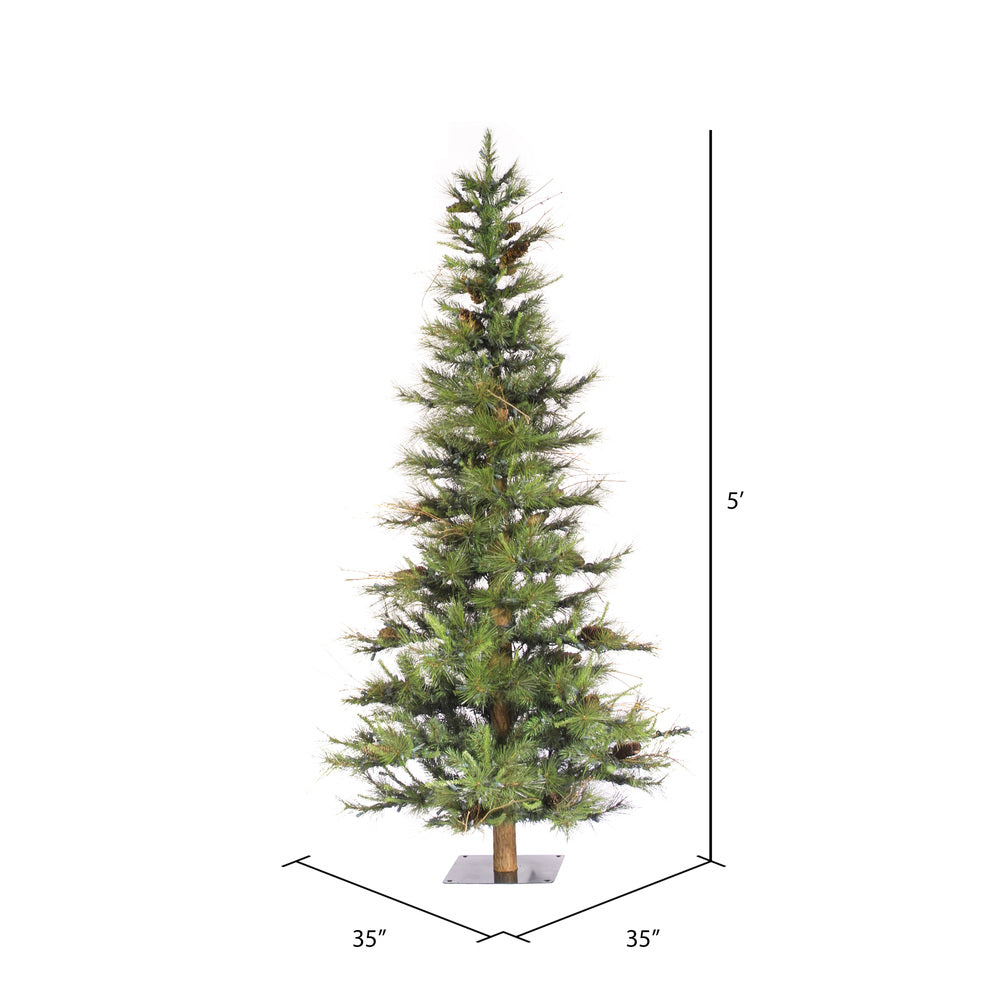 Vickerman 5' Ashland Artificial Christmas Tree Unlit