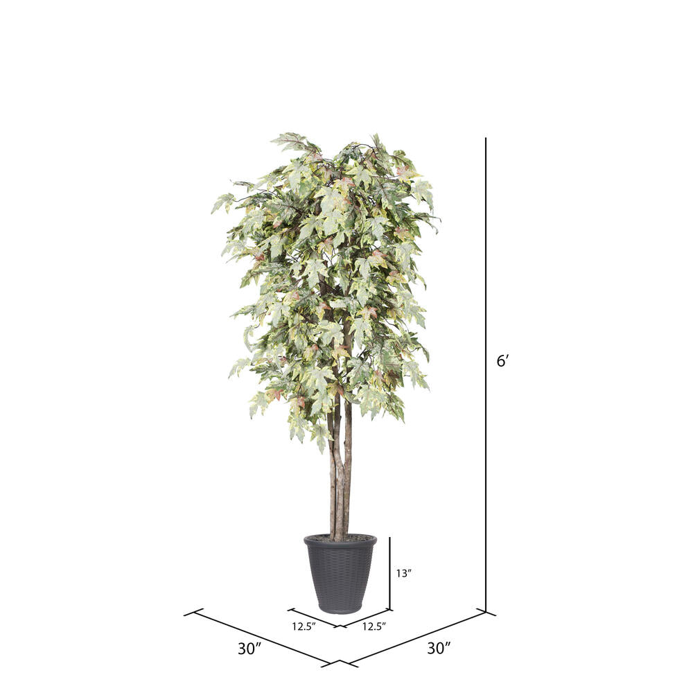 Vickerman 6' Artificial Frosted Maple Deluxe Tree Gray Round Plastic Container.