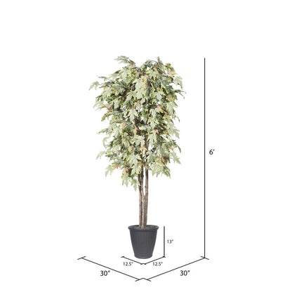 Vickerman 6' Artificial Frosted Maple Deluxe Tree Gray Round Plastic Container.