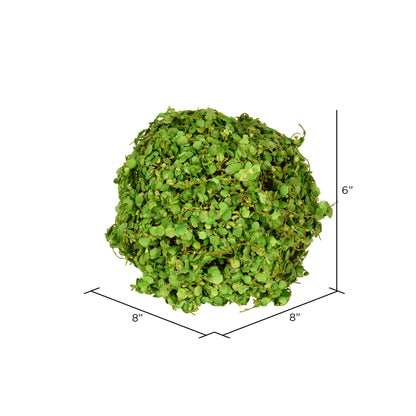Vickerman 6'' Artificial Green Mini Leaves Ball Pack of 2