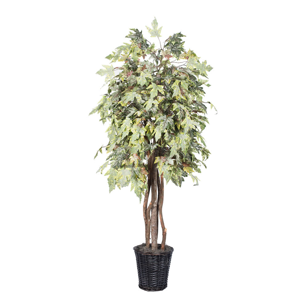 Vickerman 6' Artificial Frosted Maple Executive Rattan Basket.