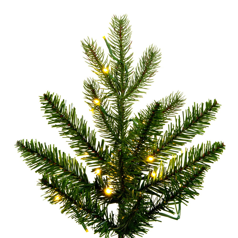Vickerman 5.5' x 36" Balsam Spruce Slim Tree 650 Warm White Low Voltage 3MM LED Lights.