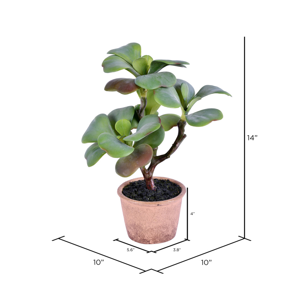 Vickerman 14" Artificial Green Succulent Paper Pot.