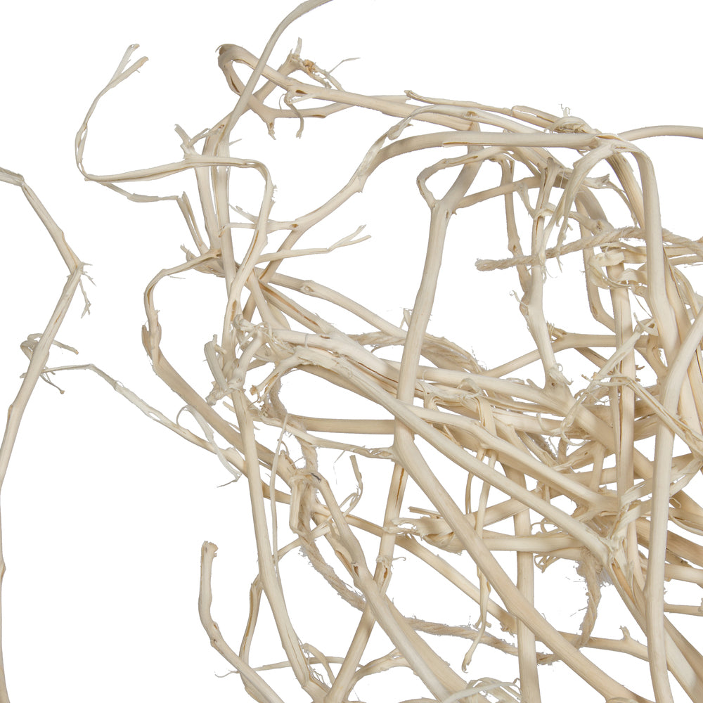 Vickerman Natural Botanicals 32" Begun Tree Bleached. Includes 5 pieces per Pack.