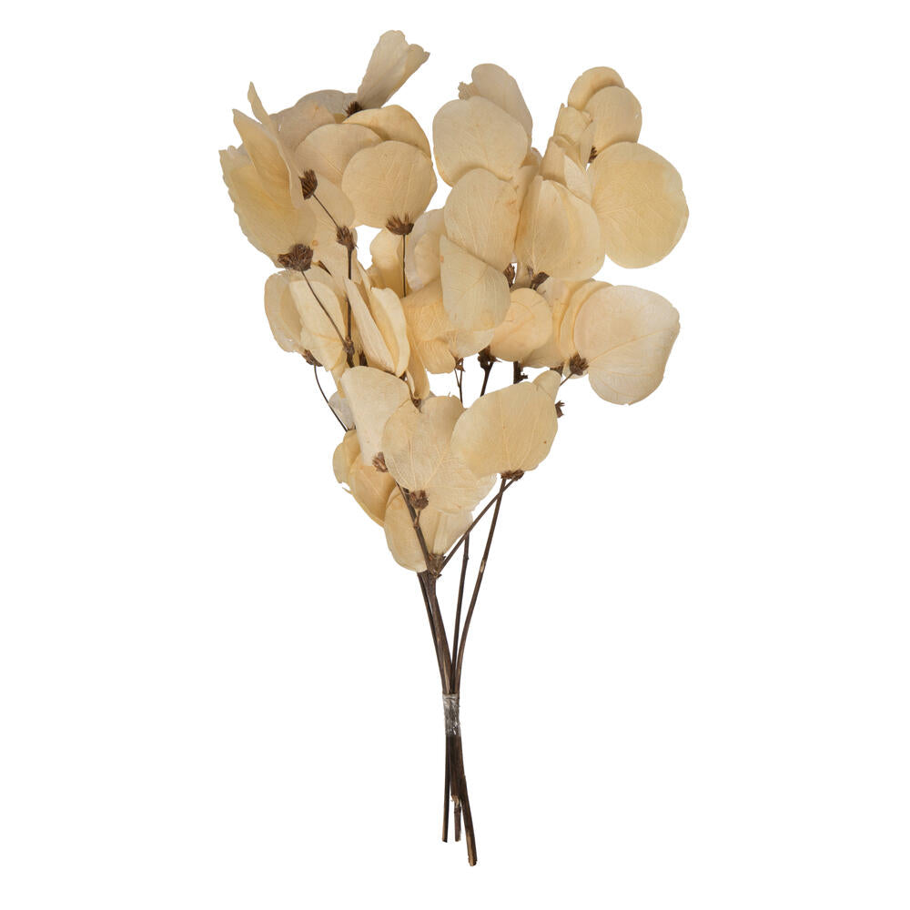 Vickerman 13.5-17" Bleached Dried Moneta Leaf on Twig Bundle Preserved.