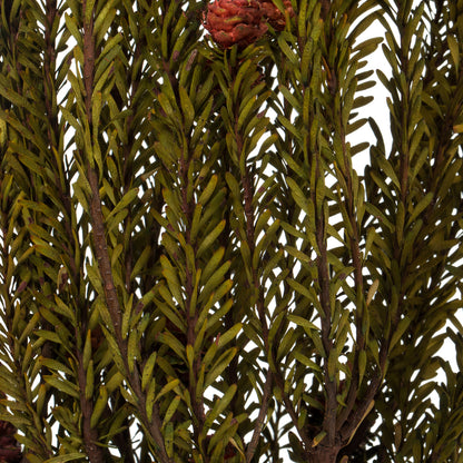 Vickerman 12" Red Tortum Bundle Female Preserved