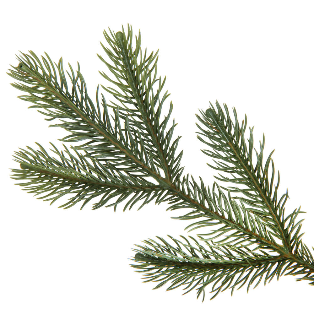 Vickerman 6' x 16" Cedar Pine Cone Twig Artificial Christmas Garland Unlit
