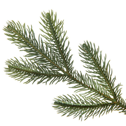 Vickerman 6' x 16" Cedar Pine Cone Twig Artificial Christmas Garland Unlit