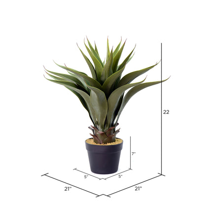 Vickerman 22" Artificial Green Potted Aloe Vera.
