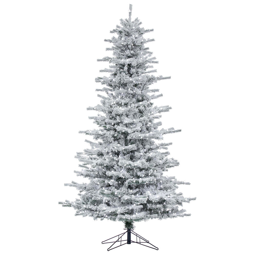 Vickerman 8.5' Flocked Sierra Fir Artificial Christmas Tree with Pure White Single Mold LED lights