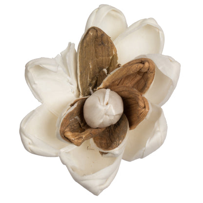 Vickerman Natural Botanicals 1.6"/2.4"/3.2" Assorted Lillian Sola Head 24 flowers/polybag.