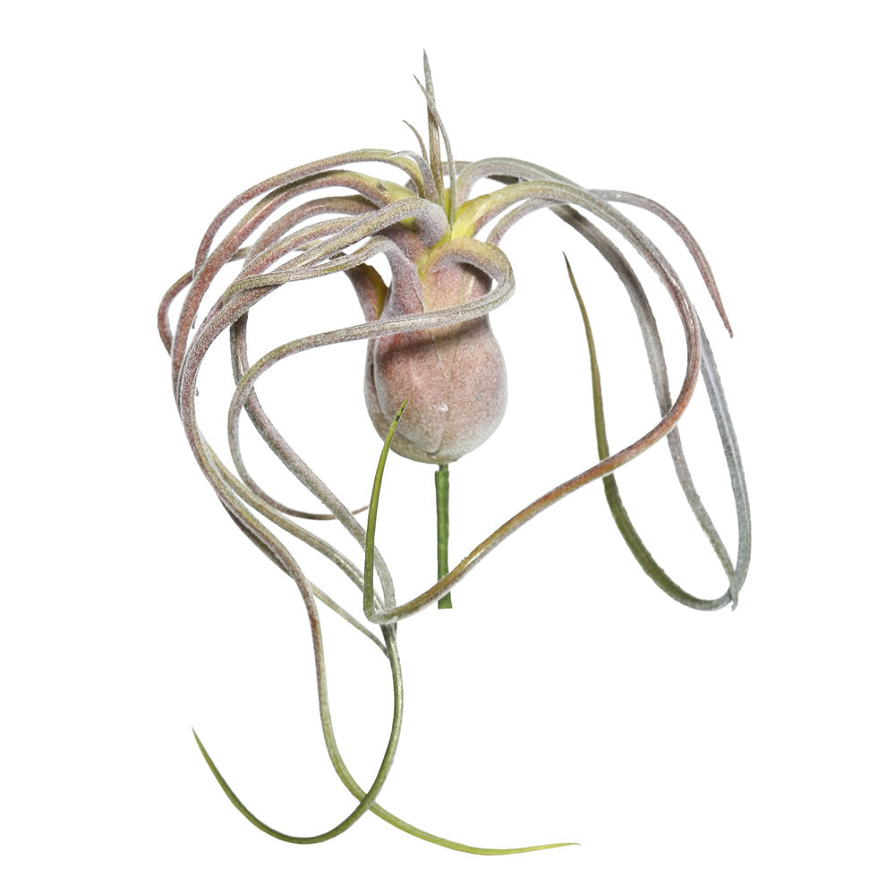 Vickerman 6" Artificial Green and Red Flocked Tillandsia Pick.