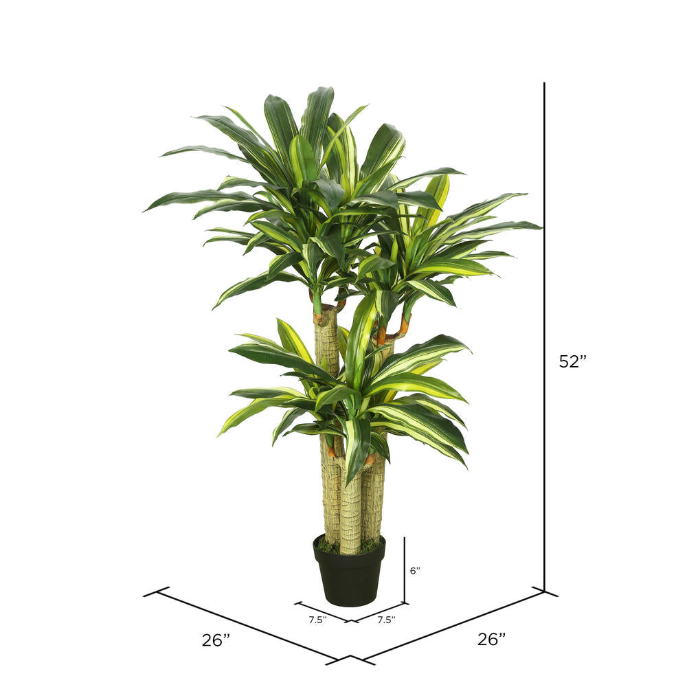 Vickerman 52" Artificial Potted Green and Yellow Real Touch Dracaena Tree.