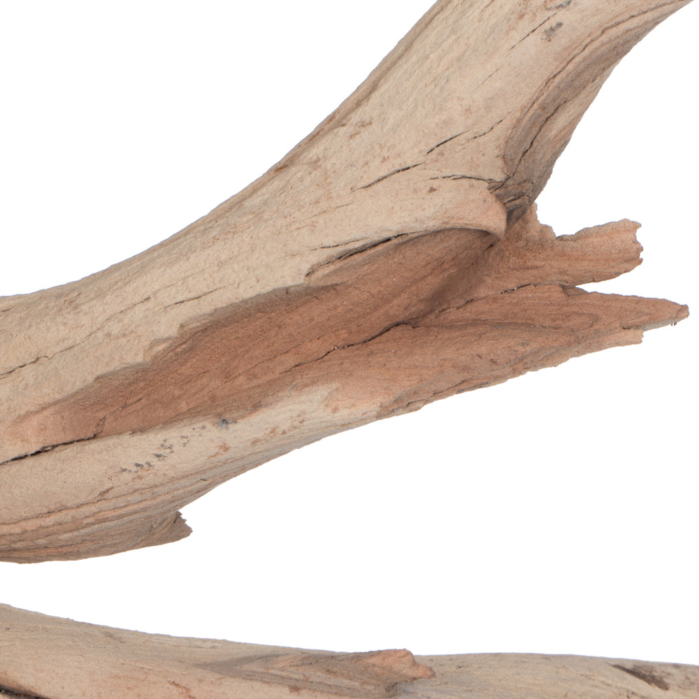 Vickerman Ghostwood Manzanita Sand Blasted 18" Dried