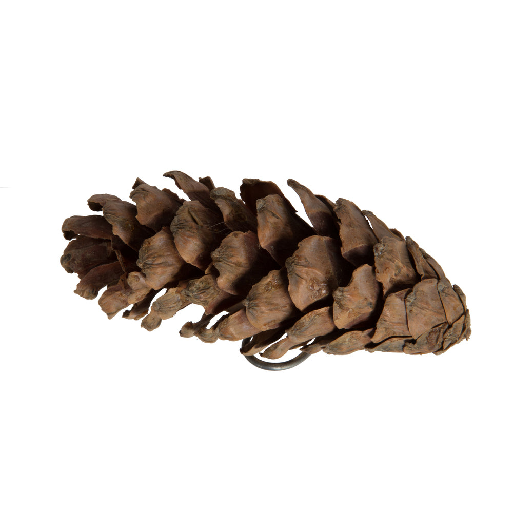 Vickerman Natural Botanicals 3.14" Strobus Small Natural. Includes 50 pieces per unit
