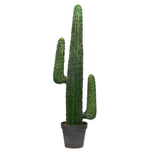 Vickerman 49" Artificial Cactus In Black Pot.