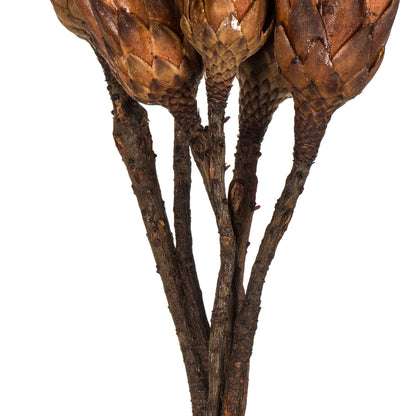Vickerman 14" Mocha Latte Repens on a Natural Stem. Includes 6 Stems per Bundle Dried