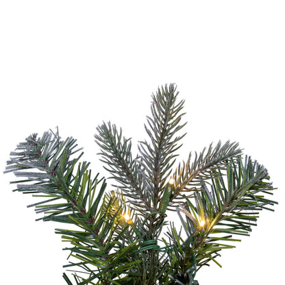 Vickerman 60" Frosted Douglas Fir Artificial Pre-Lit Wreath Warm White 3mm LED Wide Angle Lights.