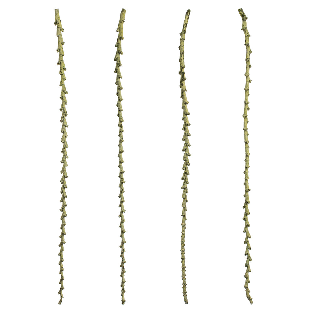 Vickerman 40-48" Spring Green Ladder Branches - XL straight 7 stems Dried