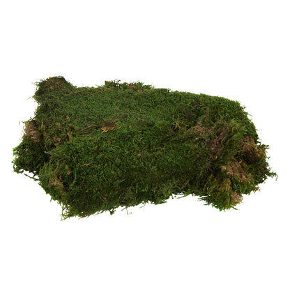 Vickerman Bag of Green Sheet Moss Preserved