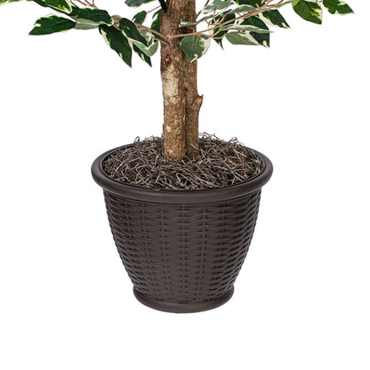 Vickerman 4' Artificial Variegated Ficus Bush Brown Plastic Container.