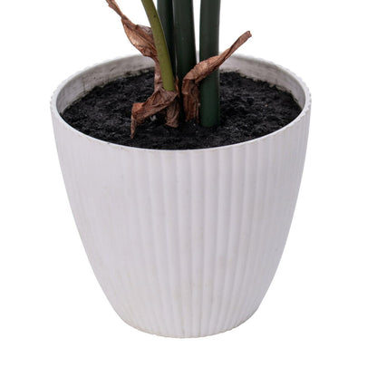 Vickerman 18" Green Monstera Plant x7 in White Pot.