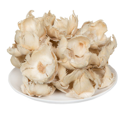 Vickerman Natural Botanicals 2.75" Palm Cap Bleached. Includes 25 pieces per Pack.